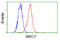 Baculoviral IAP Repeat Containing 7 antibody, GTX84823, GeneTex, Flow Cytometry image 