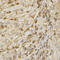 BCL2 Antagonist/Killer 1 antibody, LS-C330828, Lifespan Biosciences, Immunohistochemistry paraffin image 