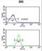 Glutamate-Cysteine Ligase Modifier Subunit antibody, LS-C166413, Lifespan Biosciences, Flow Cytometry image 