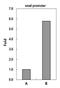 CREB Binding Protein antibody, PA5-27369, Invitrogen Antibodies, Chromatin Immunoprecipitation image 