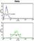 Lactate Dehydrogenase A antibody, abx034405, Abbexa, Western Blot image 