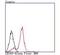 CD163 antibody, NBP2-67224, Novus Biologicals, Flow Cytometry image 