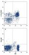 Interleukin 7 Receptor antibody, FAB5607P, R&D Systems, Flow Cytometry image 