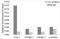 CCCTC-Binding Factor antibody, GTX32541, GeneTex, Chromatin Immunoprecipitation image 