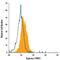 Arginase 1 antibody, IC5868A, R&D Systems, Flow Cytometry image 