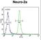 Transmembrane Protein 65 antibody, LS-C162019, Lifespan Biosciences, Flow Cytometry image 