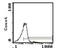 Ly55c antibody, MA5-17976, Invitrogen Antibodies, Flow Cytometry image 