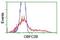 Nucleic Acid Binding Protein 2 antibody, NBP2-01578, Novus Biologicals, Flow Cytometry image 