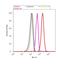 C-X3-C Motif Chemokine Receptor 1 antibody, 720300, Invitrogen Antibodies, Flow Cytometry image 