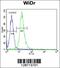 WD Repeat Domain 5B antibody, 55-591, ProSci, Flow Cytometry image 