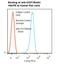 CD37 Molecule antibody, LS-C134410, Lifespan Biosciences, Flow Cytometry image 