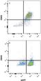 CD63 Molecule antibody, MAB5417, R&D Systems, Flow Cytometry image 