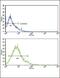 Solute Carrier Family 2 Member 2 antibody, PA5-11567, Invitrogen Antibodies, Flow Cytometry image 