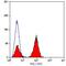 CD7 Molecule antibody, GTX74732, GeneTex, Flow Cytometry image 