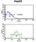 WD Repeat Domain 82 antibody, abx032316, Abbexa, Western Blot image 