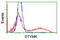 Deoxythymidylate Kinase antibody, LS-C173278, Lifespan Biosciences, Flow Cytometry image 