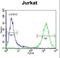 Coactivator Associated Arginine Methyltransferase 1 antibody, LS-C162163, Lifespan Biosciences, Flow Cytometry image 