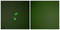 Galectin 3 antibody, LS-B5661, Lifespan Biosciences, Immunofluorescence image 