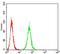 Purinergic Receptor P2X 7 antibody, NBP2-61748, Novus Biologicals, Flow Cytometry image 