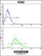 Integral Membrane Protein 2A antibody, 62-450, ProSci, Immunofluorescence image 