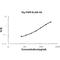 Fibroblast Growth Factor 9 antibody, EK0348-PO, Boster Biological Technology, Enzyme Linked Immunosorbent Assay image 