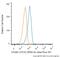 Neural Cell Adhesion Molecule 1 antibody, NBP2-34397AF647, Novus Biologicals, Flow Cytometry image 