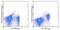 Interleukin 7 Receptor antibody, 45-1271-80, Invitrogen Antibodies, Flow Cytometry image 