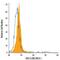 C-X-C Motif Chemokine Ligand 13 antibody, MA5-23666, Invitrogen Antibodies, Flow Cytometry image 