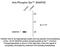 Synaptosome Associated Protein 25 antibody, NBP2-29522, Novus Biologicals, Western Blot image 