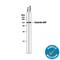 Galectin 3 Binding Protein antibody, AF2226, R&D Systems, Western Blot image 