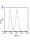 Structural Maintenance Of Chromosomes 1A antibody, GTX49176, GeneTex, Flow Cytometry image 