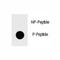 Inhibitor Of Nuclear Factor Kappa B Kinase Subunit Beta antibody, F48706-0.4ML, NSJ Bioreagents, Dot Blot image 