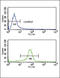 Calcium Voltage-Gated Channel Auxiliary Subunit Alpha2delta 1 antibody, LS-C168257, Lifespan Biosciences, Flow Cytometry image 