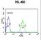 Carbonic Anhydrase 5B antibody, LS-C168243, Lifespan Biosciences, Flow Cytometry image 