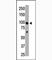 Histone Deacetylase 4 antibody, F41149-0.4ML, NSJ Bioreagents, Western Blot image 