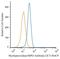 Myeloperoxidase antibody, NB100-64803, Novus Biologicals, Flow Cytometry image 