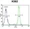 Carboxypeptidase A3 antibody, abx026386, Abbexa, Flow Cytometry image 