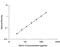 Interleukin 2 antibody, R2000, R&D Systems, Enzyme Linked Immunosorbent Assay image 