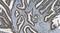 Poly(ADP-Ribose) Polymerase 1 antibody, M00122-4, Boster Biological Technology, Immunohistochemistry paraffin image 