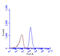 Sequestosome 1 antibody, GTX629890, GeneTex, Flow Cytometry image 