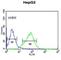 Olfactory receptor 2H2 antibody, abx034200, Abbexa, Western Blot image 