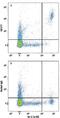 CD177 Molecule antibody, MAB8186, R&D Systems, Flow Cytometry image 