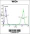 Reticulon 4 Interacting Protein 1 antibody, 55-409, ProSci, Flow Cytometry image 