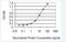 Apolipoprotein C3 antibody, H00000345-M06, Novus Biologicals, Enzyme Linked Immunosorbent Assay image 