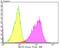 DNA Damage Inducible Transcript 3 antibody, NBP2-76926, Novus Biologicals, Flow Cytometry image 