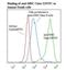 CD74 antibody, LS-C134163, Lifespan Biosciences, Flow Cytometry image 