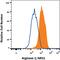 Liver-type arginase antibody, IC8026C, R&D Systems, Flow Cytometry image 