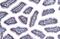 Checkpoint Kinase 1 antibody, GTX100065, GeneTex, Immunohistochemistry paraffin image 