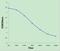 Thyroxine antibody, orb1145, Biorbyt, Enzyme Linked Immunosorbent Assay image 