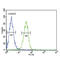 Cartilage Oligomeric Matrix Protein antibody, abx033054, Abbexa, Flow Cytometry image 